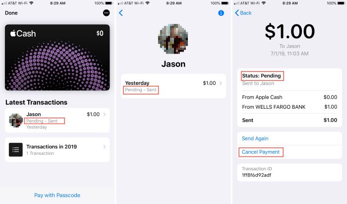 How to Cancel Apple Pay Payment!