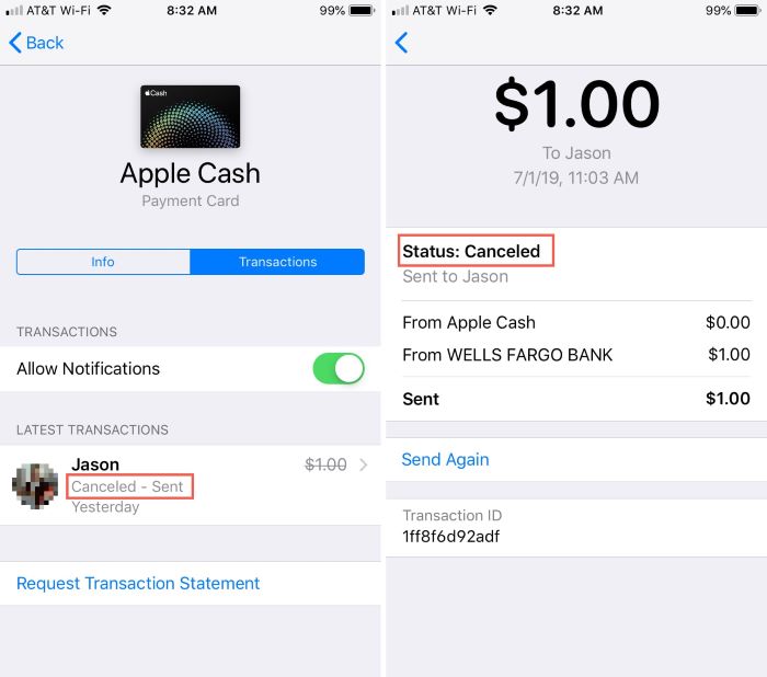 How to Cancel Apple Pay Payment!