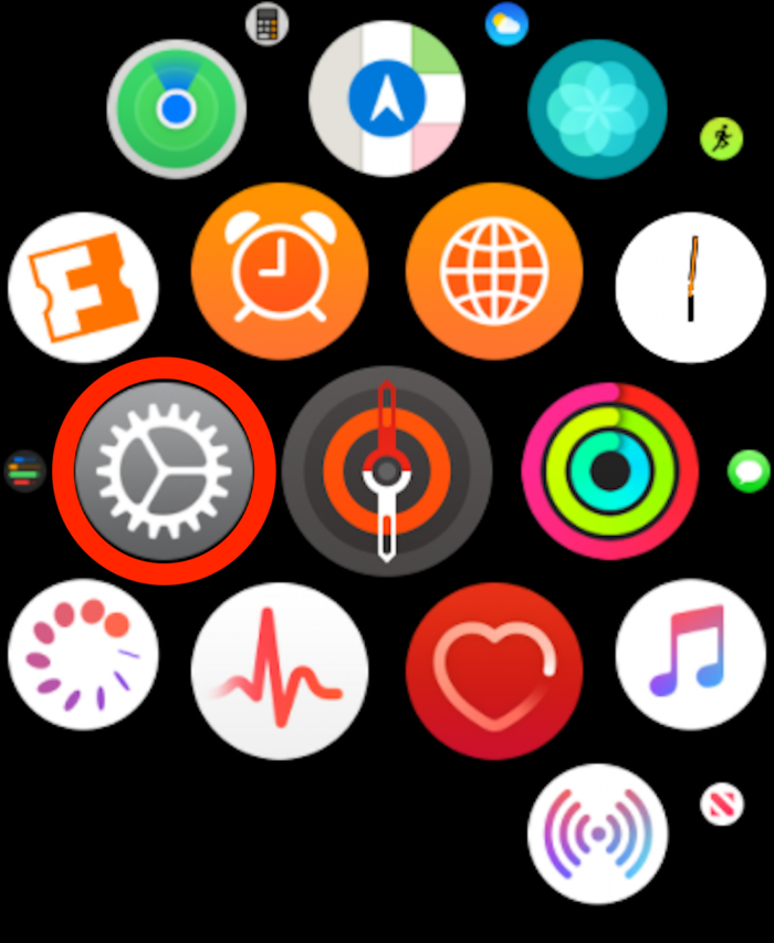 Apple Watch Settings app icon