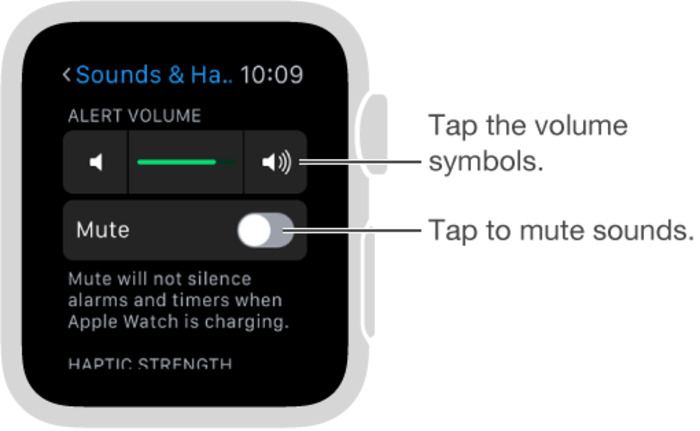 Apple Watch Sounds & Haptics settings