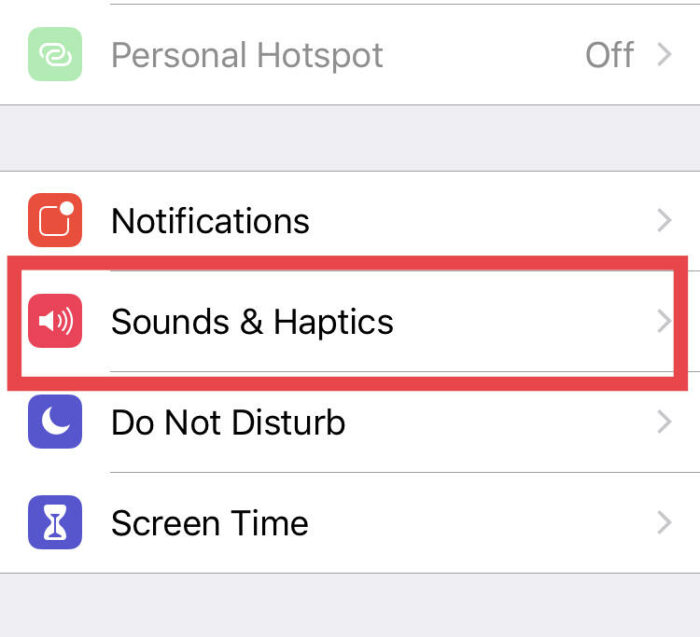iPhone Sounds & Haptics settings