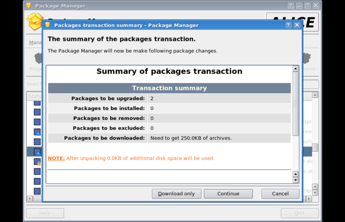 Correct Package Manager