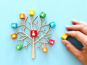 Strategies for Optimizing Resource Utilization