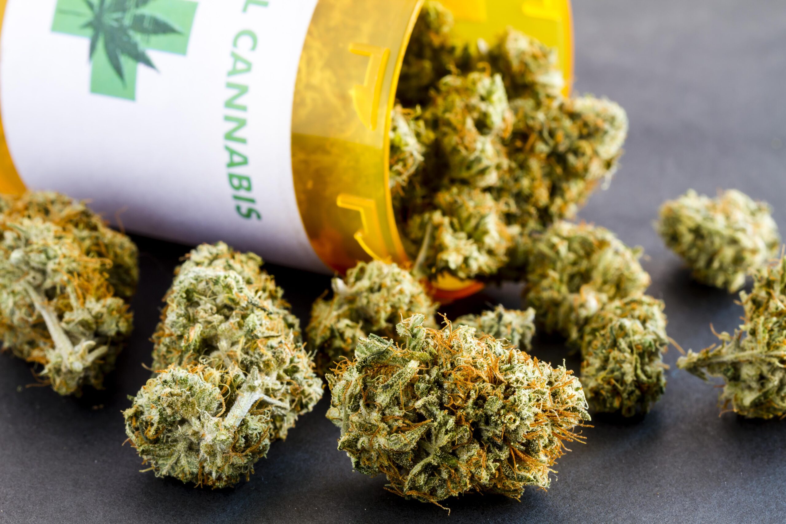 Strains You Can Find At The Best Medical Dispensaries in Florida