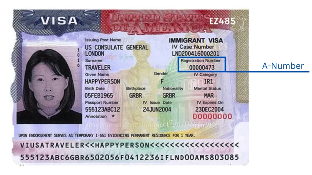 What Is an Alien Registration Number and Where Do You Find It?